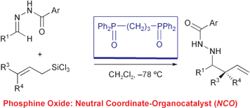 Graphical abstract: Phosphine oxides as efficient neutral coordinate-organocatalysts for stereoselective allylation of N-acylhydrazones