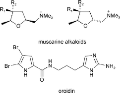 Graphical abstract: Muscarine, imidazole, oxazole and thiazole alkaloids