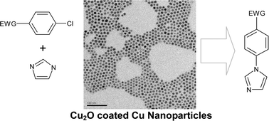 Graphical abstract: Synthesis of Cu2O coated Cu nanoparticles and their successful applications to Ullmann-type amination coupling reactions of aryl chlorides