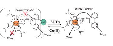 Graphical abstract: Eu(iii)–cyclen–phen conjugate as a luminescent copper sensor: the formation of mixed polymetallic macrocyclic complexes in water