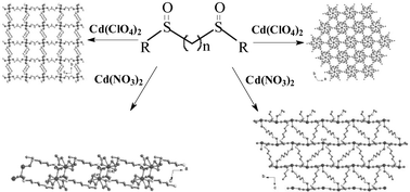Graphical abstract: Novel Cd(ii) coordination polymers with flexible disulfoxide ligands: effects of ligand spacers, terminal groups and counter anions on the complex framework formations