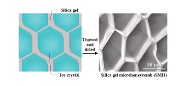 Graphical abstract: Formation of monolithic silica gel microhoneycombs (SMHs) using pseudosteady state growth of microstructural ice crystals