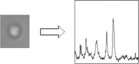 Graphical abstract: Analysis of liposomal membrane composition using Raman tweezers