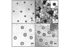 Graphical abstract: Facile fabrication of polymer and carbon nanocapsules using polypyrrole core/shell nanomaterials