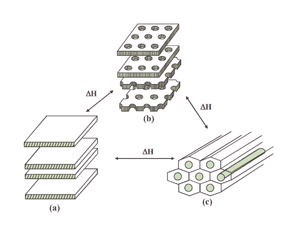 Graphical abstract: Organization of branched rod–coil molecules into a 3-D tetragonally perforated lamellar mesophase