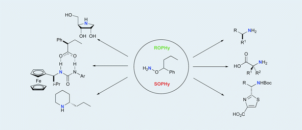Graphical abstract: Addition reactions of ROPHy/SOPHy oxime ethers: asymmetric synthesis of nitrogen containing compounds