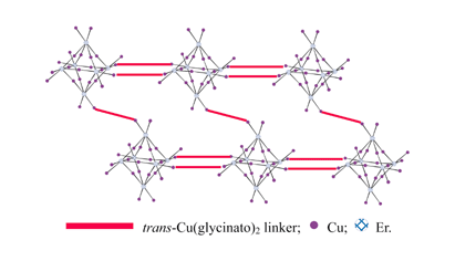 Graphical abstract: A novel 2D net-like supramolecular polymer constructed from Ln6Cu24 node and trans-Cu(Gly)2 bridge