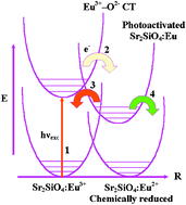 Graphical abstract: The light induced valence change of europium in Sr2SiO4 ∶ Eu involving transient crystal structure
