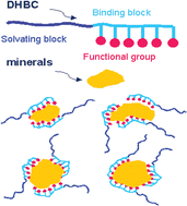 Graphical abstract: Bio-inspired crystal morphogenesis by hydrophilic polymers
