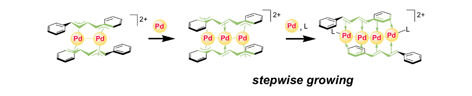 Graphical abstract: Stepwise growth of polypalladium chains in 1,4-diphenyl-1,3-butadiene sandwich complexes