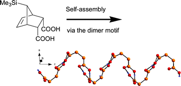 Graphical abstract: The influence of the trimethylsilyl group: helical self-assembly of syn-7-trimethylsilyl-5-norbornene-endo-2,3-dicarboxylic acid