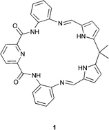 Synthesis and study of a new diamidodipyrromethane macrocycle. An anion