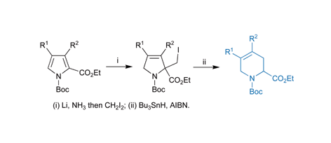 Graphical abstract: Rearrangement of pyrrolines derived from the Birch reduction of electron-deficient pyrroles: radical ring-expansion to substituted tetrahydropyridines