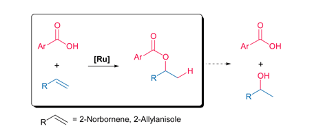 Graphical abstract: Ruthenium catalyzed addition reaction of carboxylic acid across olefins without β-hydride elimination