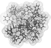 Graphical abstract: The structure of phosphine-functionalised silsesquioxane-based dendrimers: a molecular dynamics study