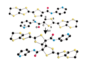 Graphical abstract: [2 + 2]Photocyclization in a single-crystal-to-single-crystal transformation of a TTF-amido-pyridine