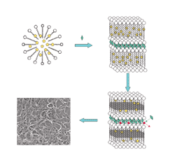Graphical abstract: Inorganic/organic mesostructure directed synthesis of wire/ribbon-like polypyrrole nanostructures