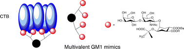 Graphical abstract: Synthesis and cholera toxin binding properties of multivalent GM1 mimics