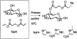Graphical abstract: A single-enzyme, two-step, one-pot synthesis of N-substituted imidazole derivatives containing a glucose branch via combined acylation/Michael addition reaction
