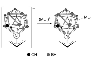 Graphical abstract: Supraicosahedral and icosahedral nickelacarbaboranes bearing exopolyhedral metal fragments