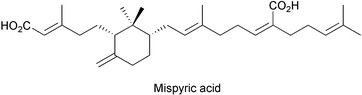 Graphical abstract: Triterpenoid total synthesis. Synthesis and absolute configuration of mispyric acid