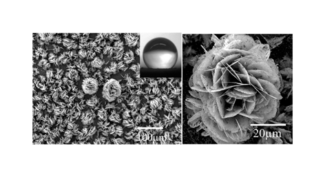 Graphical abstract: Super-hydrophobic tin oxide nanoflowers