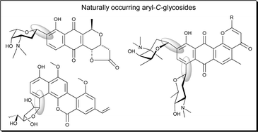 Graphical abstract: Structure, activity, synthesis and biosynthesis of aryl-C-glycosides