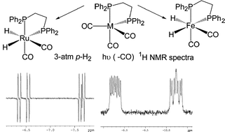 Graphical abstract: The reaction of M(CO)3(Ph2PCH2CH2PPh2) (M = Fe, Ru) with parahydrogen: probing the electronic structure of reaction intermediates and the internal rearrangement mechanism for the dihydride products