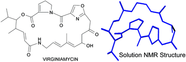 Graphical abstract: Solvent affects the conformation of virginiamycin M1 (pristinamycin IIA, streptogramin A)