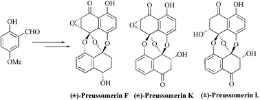 Graphical abstract: A versatile, non-biomimetic route to the preussomerins: syntheses of (±)-preussomerins F, K and L