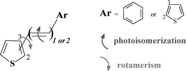Graphical abstract: Effect of thienyl groups on the photoisomerization and rotamerism of symmetric and asymmetric diaryl-ethenes and diaryl-butadienes