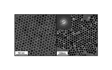 Graphical abstract: Synthesis of monodisperse iron oxide nanocrystals by thermal decomposition of iron carboxylate salts