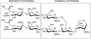 Graphical abstract: Recent developments in preparative enzymatic syntheses of carbohydrates