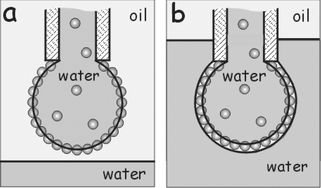 Graphical abstract: Formation of giant colloidosomes by transfer of pendant water drops coated with latex particles through an oil–water interface