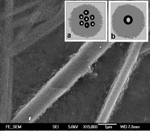 Graphical abstract: Fabrication of nanowires with polymer shells using treated carbon nanotube bundles as macro-initiators
