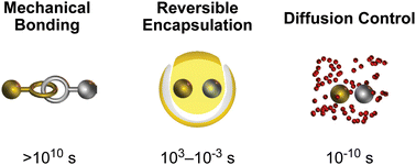 Graphical abstract: The ins and outs of molecular encapsulation