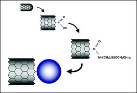 Graphical abstract: Covalent decoration of multi-walled carbon nanotubes with silica nanoparticles