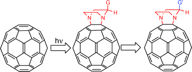 Graphical abstract: Piperazine additions to C60—a facile approach to fullerene substitution