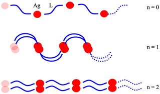 Graphical abstract: How many structures are there for {[AgL](NO3)(H2O)n}? Water-content dependent variations in the structure of {[AgL](NO3)(H2O)n}, n = 0, 1, 2; L = ethanediyl bis(isonicotinate)
