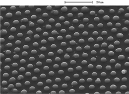 Graphical abstract: Fabrication of microlens arrays by gel trapping of self-assembled particle monolayers at the decane–water interface