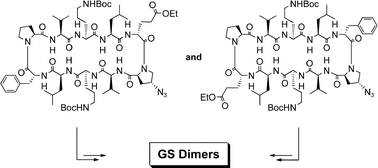 Graphical abstract: Synthesis and biological evaluation of gramicidin S dimers