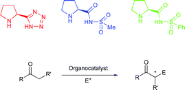 Graphical abstract: Organocatalysis with proline derivatives: improved catalysts for the asymmetric Mannich, nitro-Michael and aldol reactions