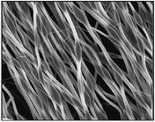 Graphical abstract: Electrospinning of nanofibers with core-sheath, hollow, or porous structures