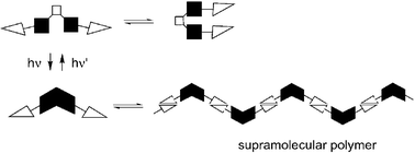 Graphical abstract: Photoreversible supramolecular polymer formation