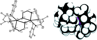 Graphical abstract: Kinetic stability of heteroleptic (β-diketiminato) heavier alkaline-earth (Ca, Sr, Ba) amides