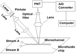 Graphical abstract: Laser induced fluorescence photobleaching anemometer for microfluidic devices