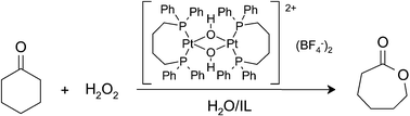 Graphical abstract: The Pt(ii)-catalyzed Baeyer–Villiger oxidation of cyclohexanone with H2O2 in ionic liquids