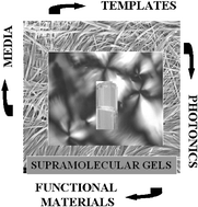 Graphical abstract: Supramolecular gels: Functions and uses