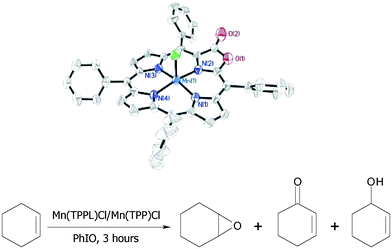 Graphical abstract: Structure and catalytic activity of a manganese(iii) tetraphenylporpholactone