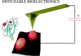 Graphical abstract: Molecular bioelectronics